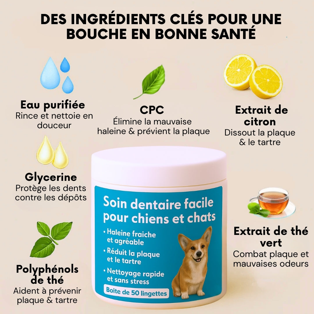 FreshWipes – Dents propres et haleine fraîche