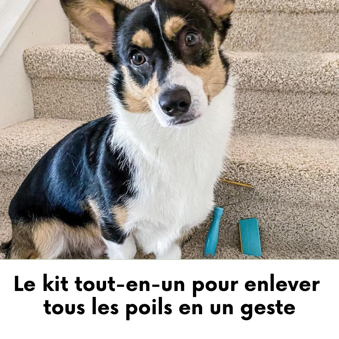 Le Trio Magique Anti-Poils