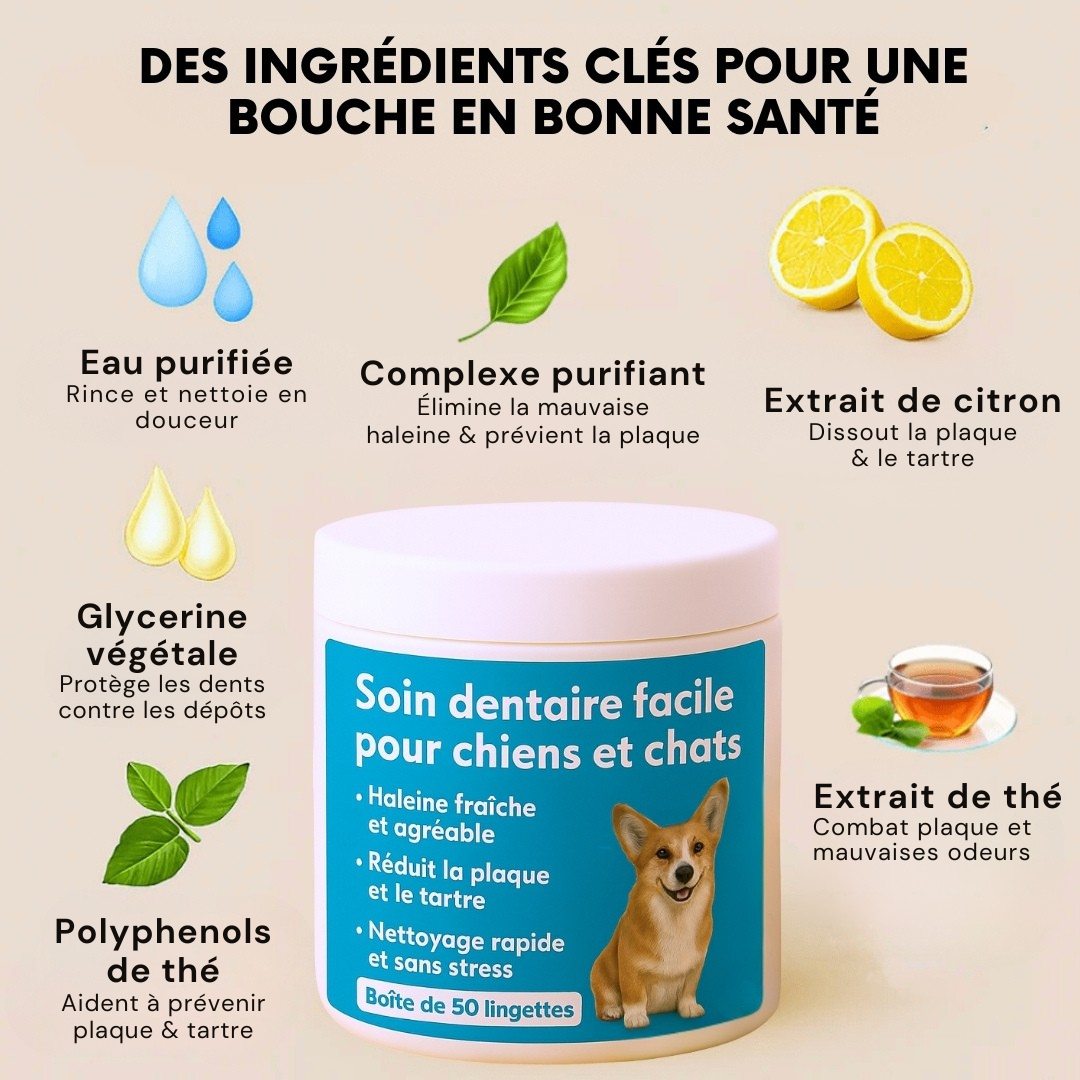 FreshWipes – Dents propres & haleine fraîche