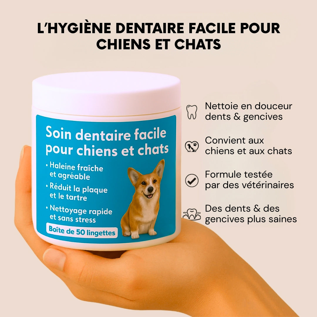 FreshWipes – Dents propres & haleine fraîche
