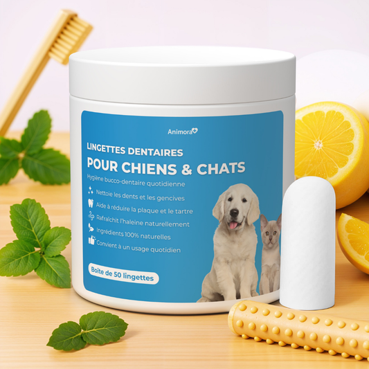 FreshWipes – Dents propres & haleine fraîche
