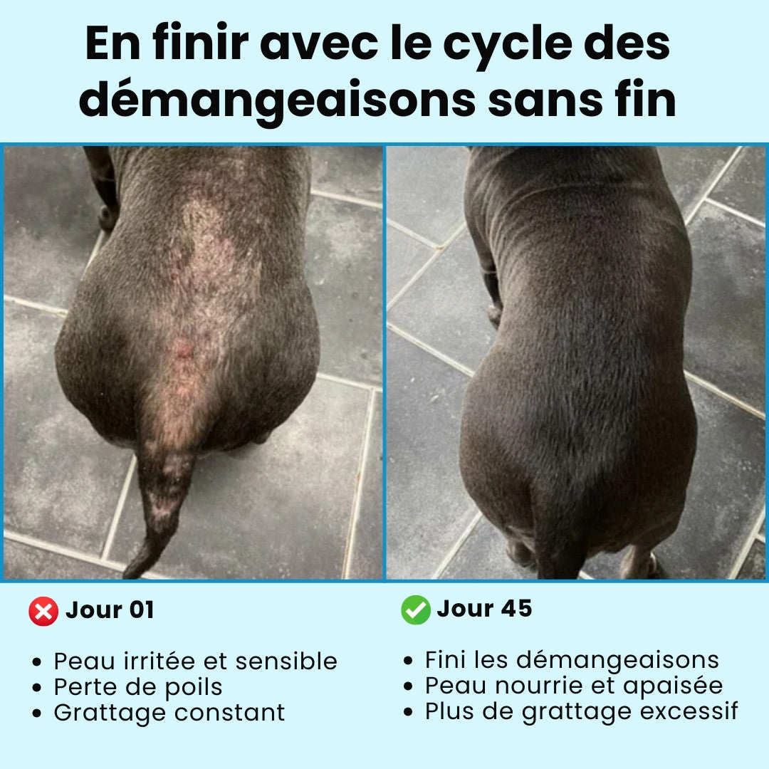 CalmiSkin – Friandises peau sensible & anti-démangeaisons