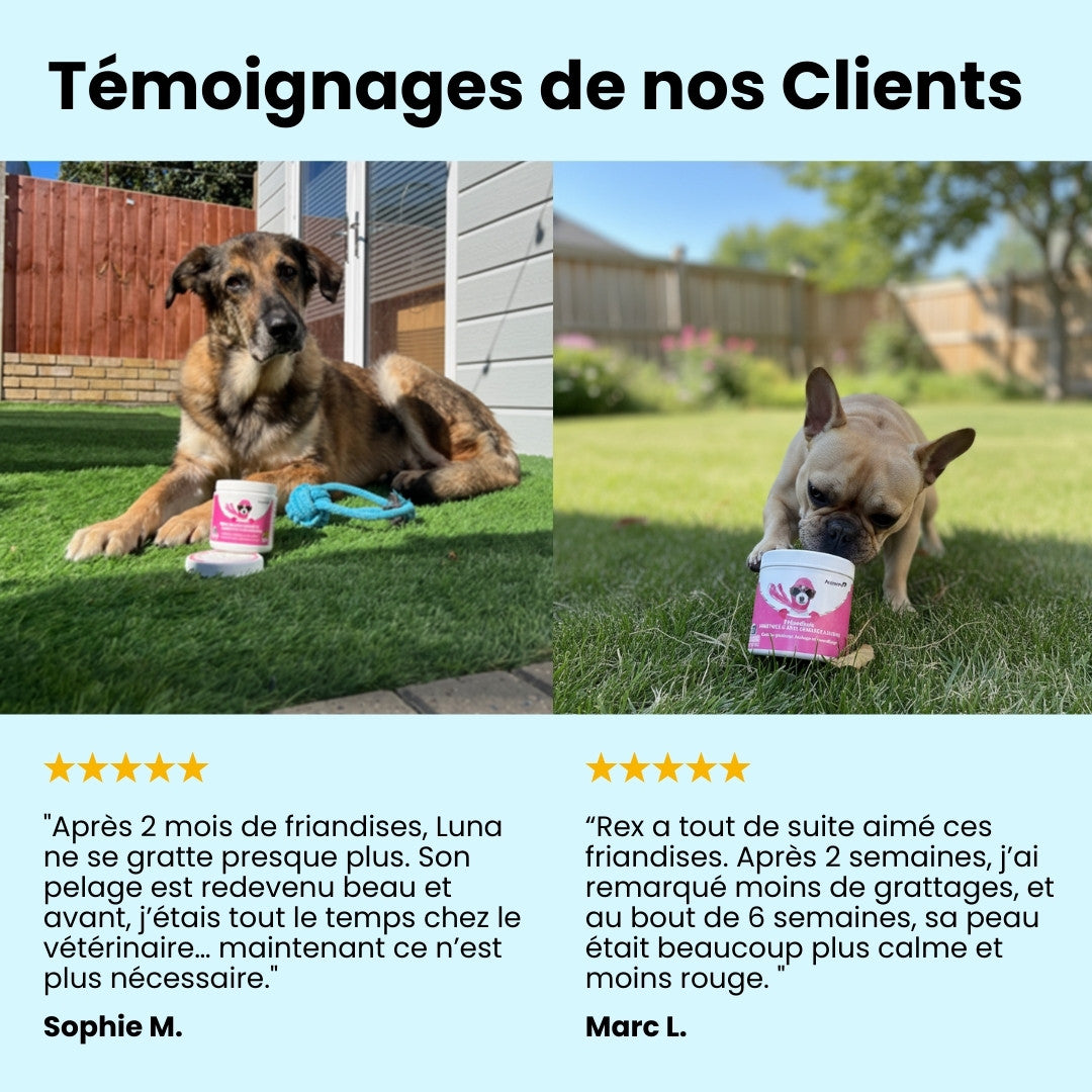 CalmiSkin – Friandises peau sensible & anti-démangeaisons