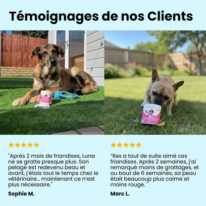 CalmiSkin – Friandises peau sensible & anti-démangeaisons