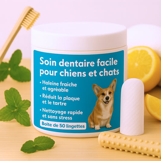 FreshWipes | Dents propres & haleine fraîche
