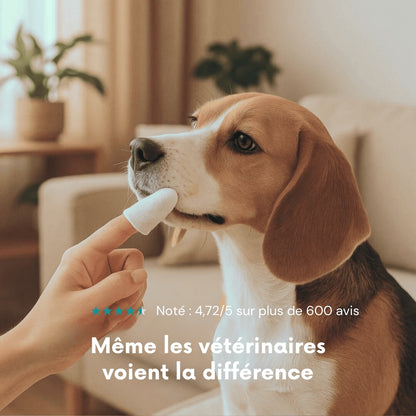 FreshWipes – Dents propres & haleine fraîche